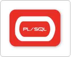 PL-SQL